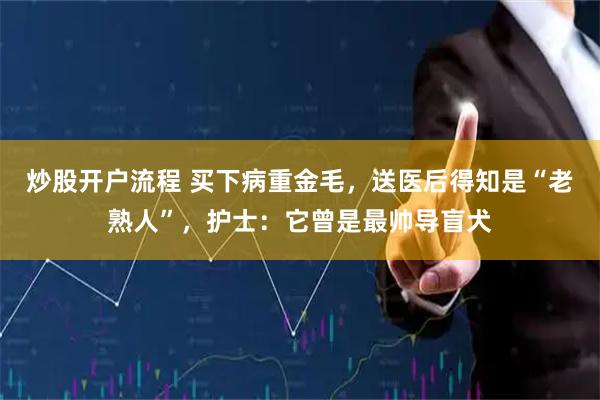 炒股开户流程 买下病重金毛，送医后得知是“老熟人”，护士：它曾是最帅导盲犬