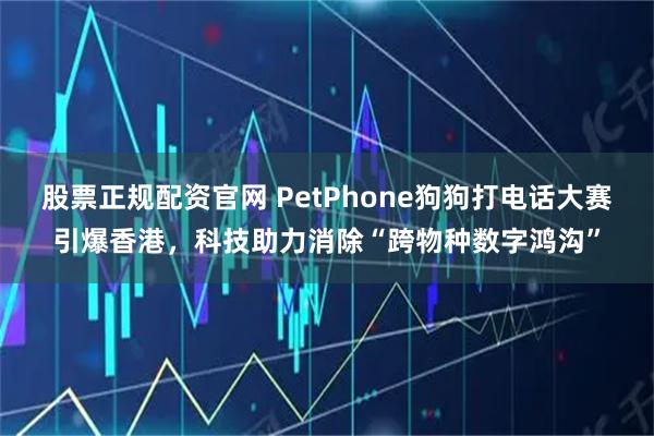 股票正规配资官网 PetPhone狗狗打电话大赛引爆香港，科技助力消除“跨物种数字鸿沟”
